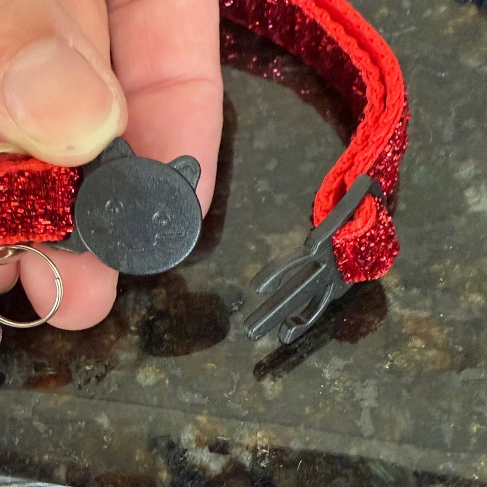 Sparkling Cat Collar Set - Red, Blue, Green
